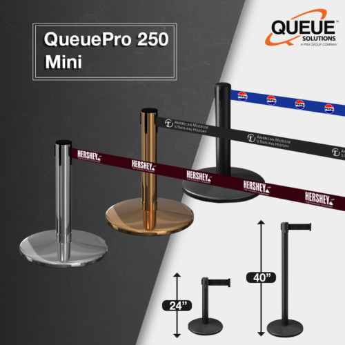 QueuePro Mini 250: A Fresh Approach to Display Access Control